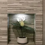 Besetubal M&m House Apartamento